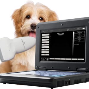 Contec Veterinary Ultrasound for Ball Pythons