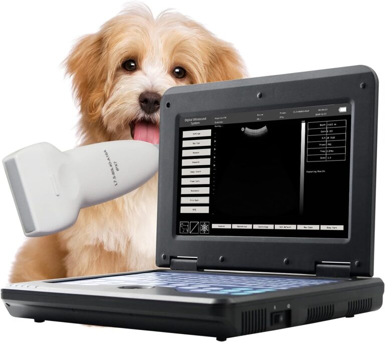 Contec Veterinary Ultrasound for Ball Pythons