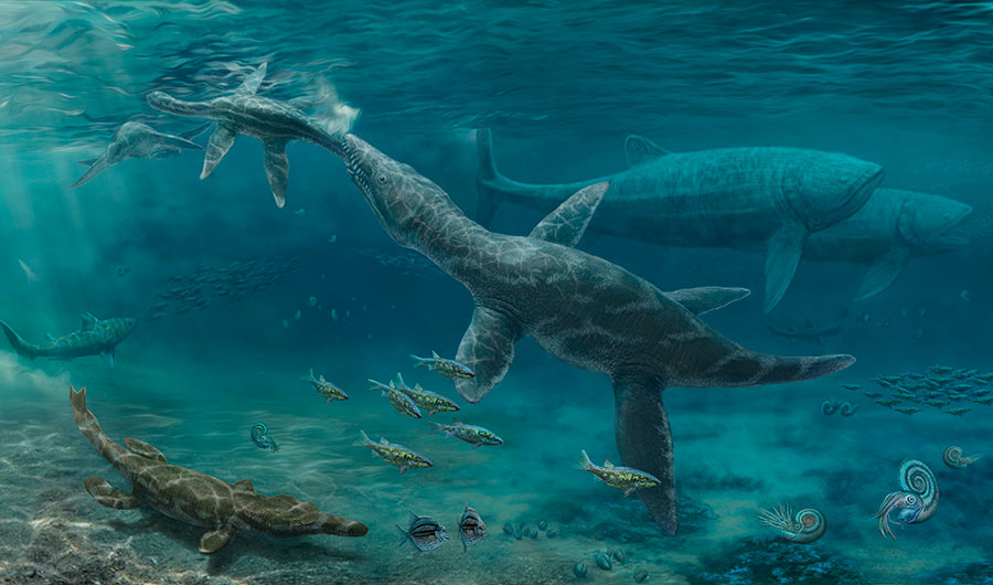 ancient marine reptiles