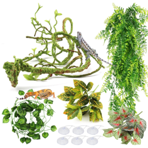 reptile terrarium plants