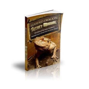 bearded dragon secret manual