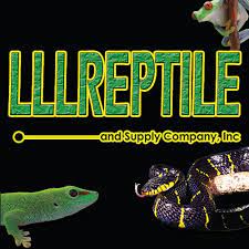 LLL Reptile